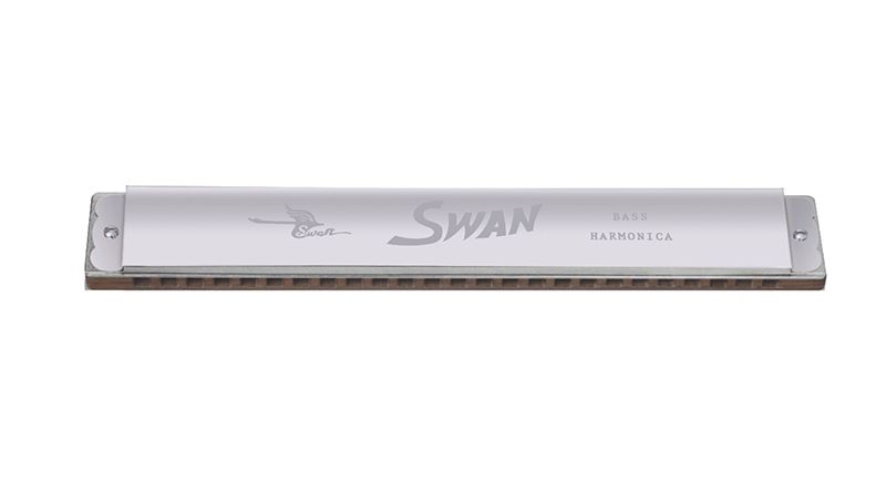 Swan SWMN-BS