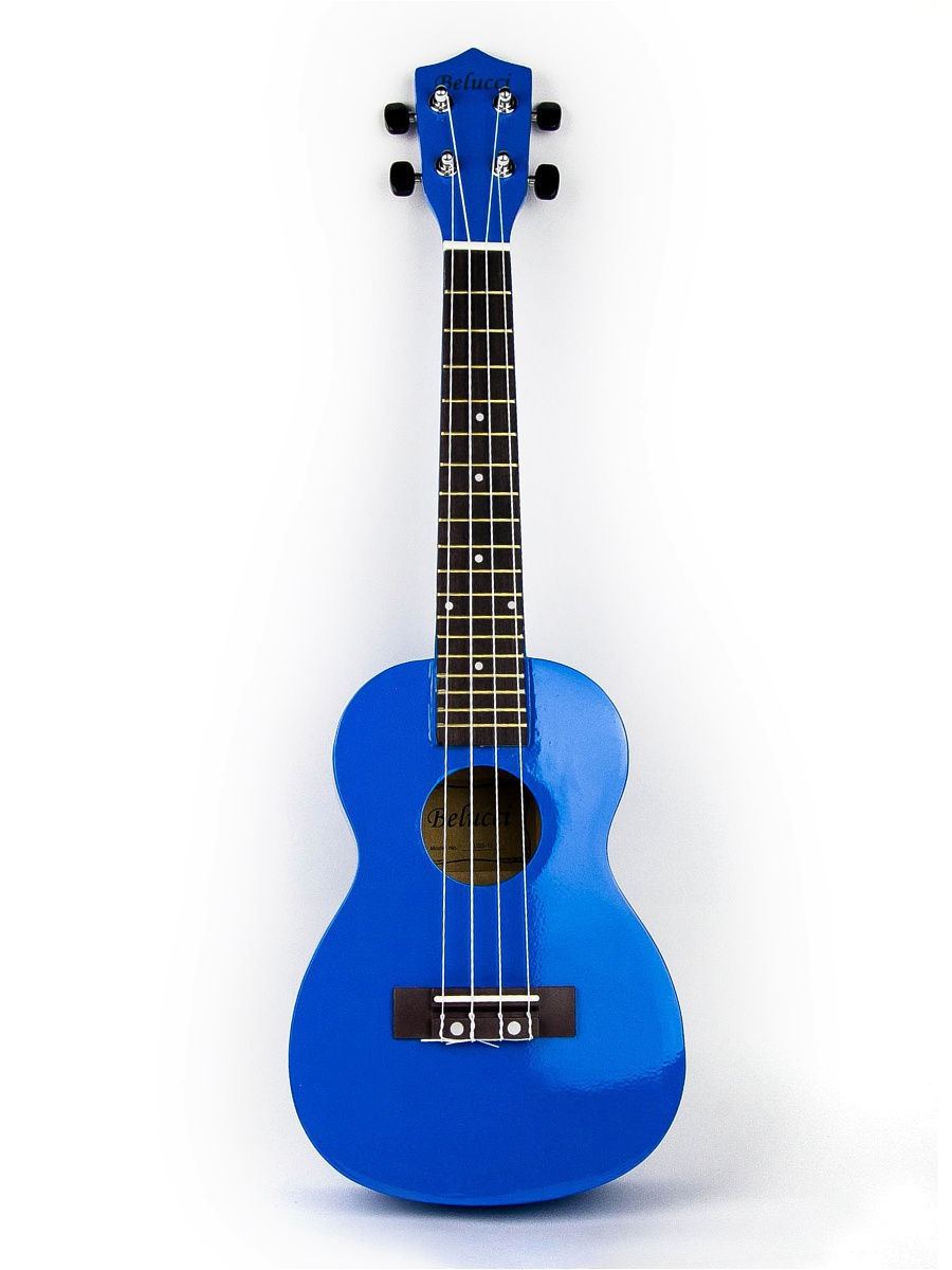 Детальная картинка товара Belucci XU23-11 Blue в магазине Музыкальная Тема